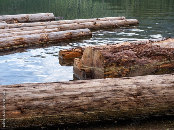 Obraz Chopped tree trunks floating on lake surface waiting to be processed
