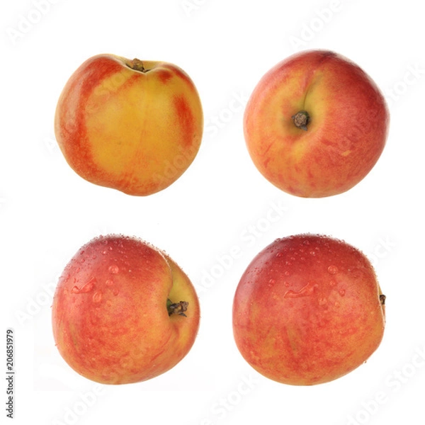 Obraz nectarine isolated