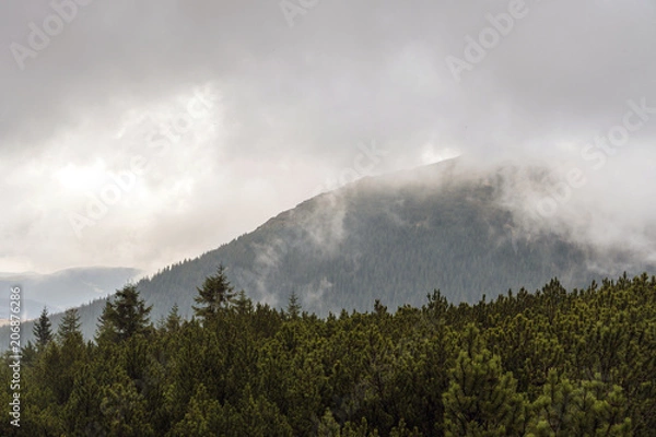 Obraz Landscape view and the mountains