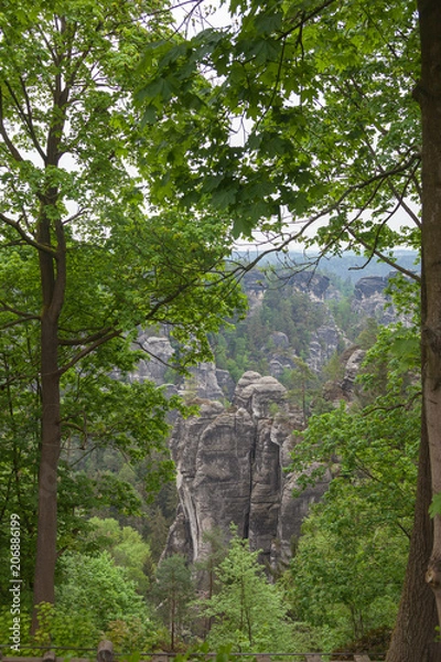 Obraz Saxon Switzerland National Park.  Is a National Park in the German Free State of Saxony, near the Saxon capital Dresden.
