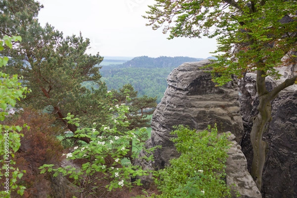 Obraz Saxon Switzerland National Park.  Is a National Park in the German Free State of Saxony, near the Saxon capital Dresden.