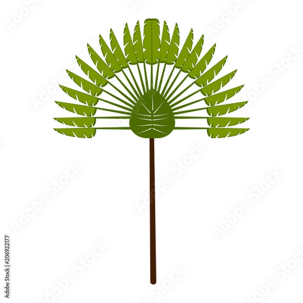 Fototapeta Isolated tree icon