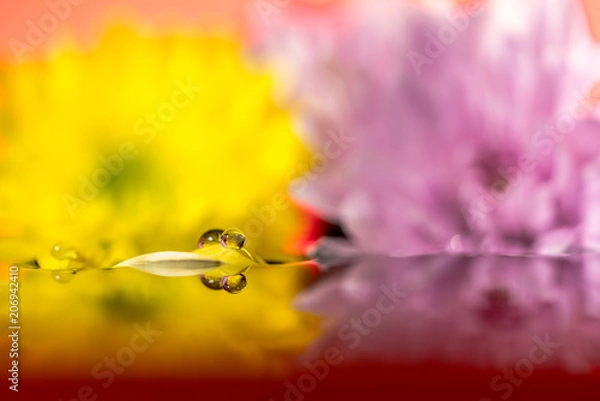 Fototapeta 花と雫
