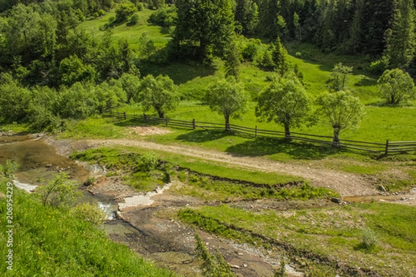 Obraz green summer forest mountain landscape with river in valley somewhere on country side