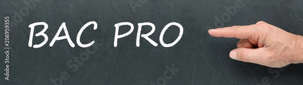 Obraz Bac Pro, Baccalauréat professionnel