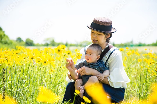 Obraz 親子と野花（金鶏菊）
