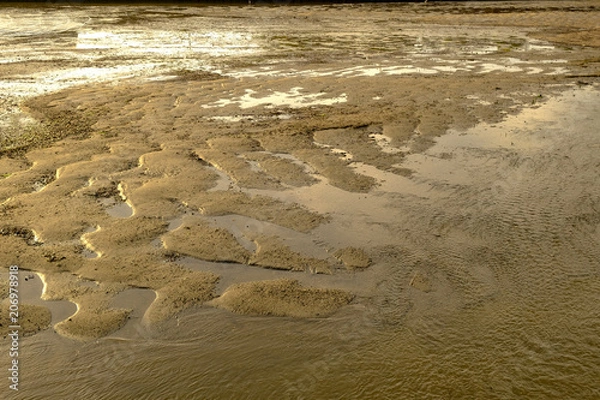 Fototapeta さざなみ