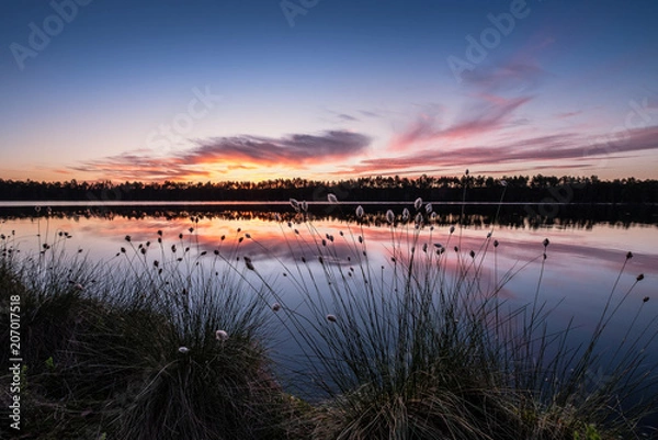 Obraz Scenic lake view with flowers and sunset at peaceful evening in Finland
