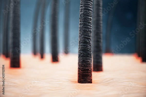 Fototapeta Renderowanie 3D osłabionych włosów. Pojęcie utraty włosów. Niespokojne, niezdrowe włosy. Włosy z bliska pod mikroskopem.
