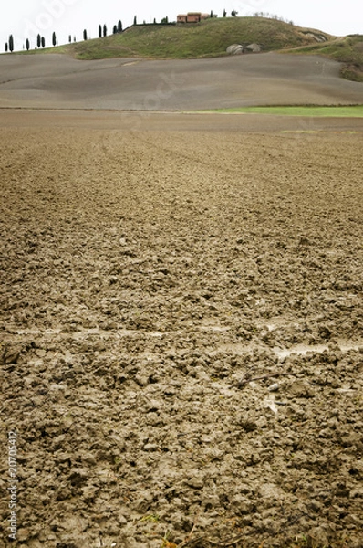 Fototapeta Clay soil field
