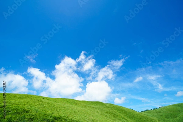 Fototapeta 霧ヶ峰