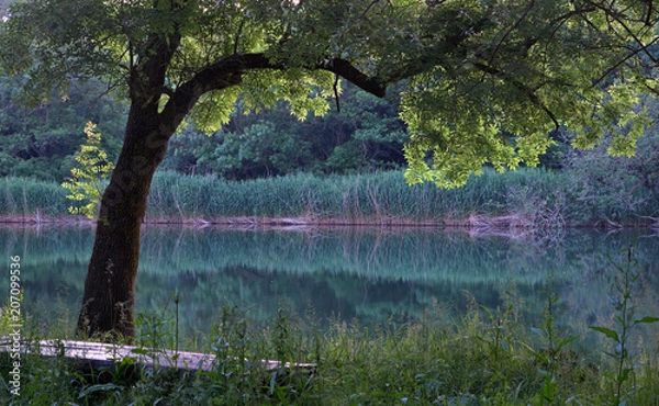Fototapeta evening by the river