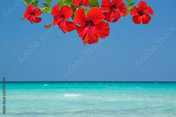 Fototapeta Parasailing