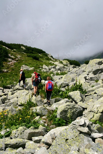Obraz mountain walk