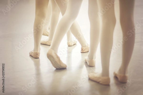 Fototapeta Tiny Dancers