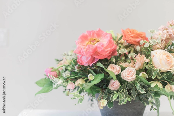 Fototapeta peachy pink 