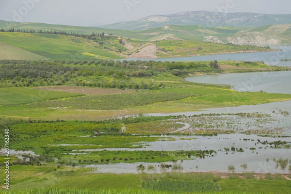 Obraz MEadows in Morocco