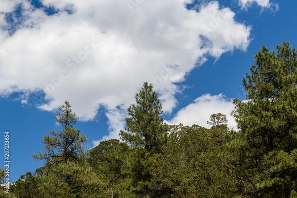 Obraz Freash Mountain air