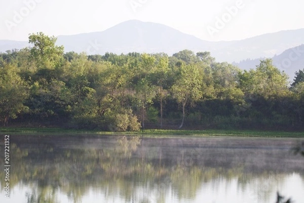 Fototapeta Riverfront Regional Park - two beautiful lakes for fishing, kayaking, canoeing and stand up paddling. A trail loops around the larger lake, Lake Benoist, with beach on the Russian River, redwood