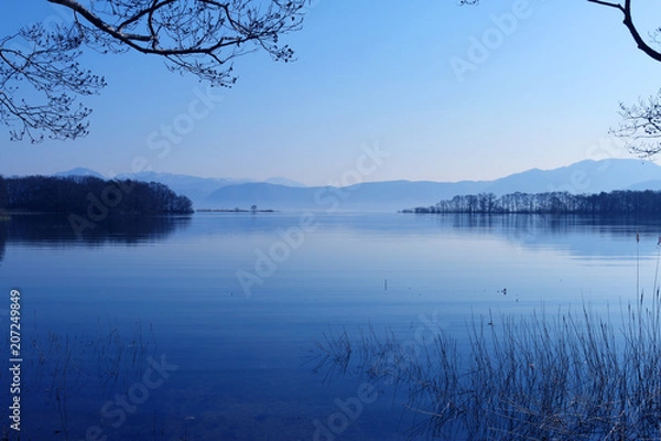 Fototapeta 春の鬼沼（郡山市・湖南町）