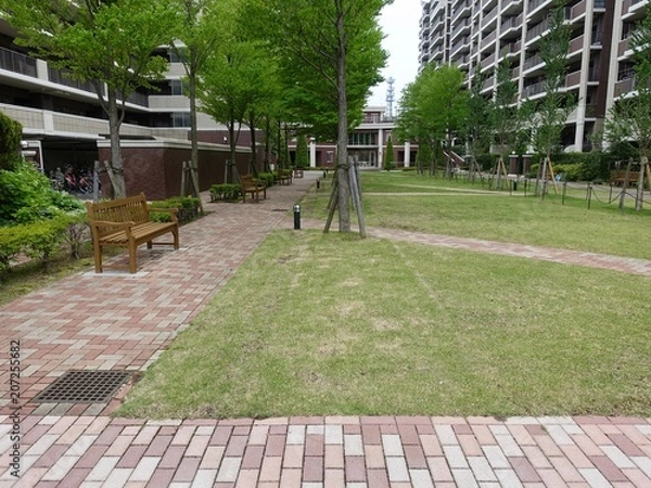 Fototapeta 庭の風景