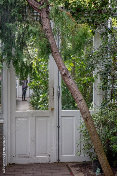 Fototapeta copenhague