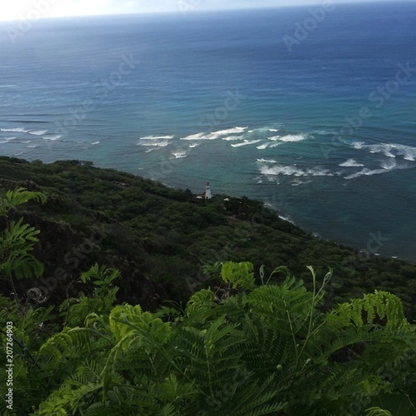 Obraz The coast