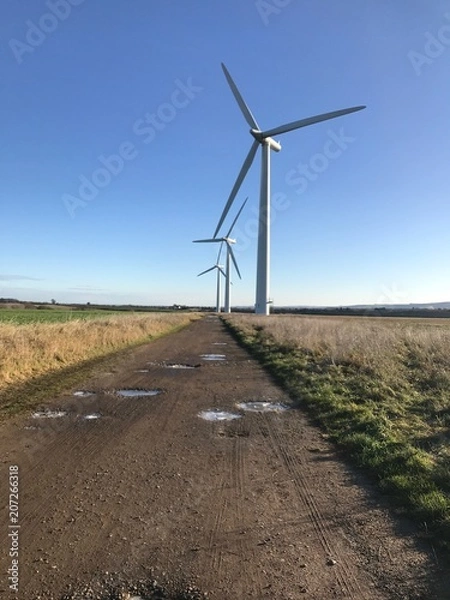 Obraz Wind farm 