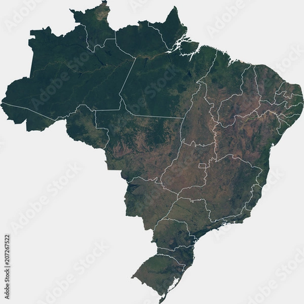 Obraz Large (142 MP) satellite image of Brazil with inner (states) borders. Country photo from space. Isolated imagery of Brazil. Elements of this image furnished by NASA.