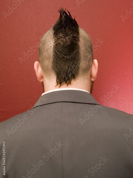 Obraz businessman mowhawk head - back