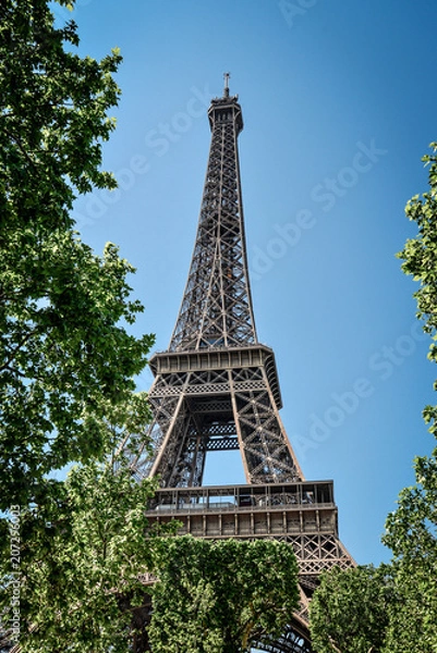 Fototapeta Eiffel Tower, view from Champ de Mars