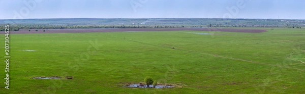 Fototapeta Vegetation of the Don river valley in the central part of Russia. Panoramic view from the top on a spring meadow with grass and pond.