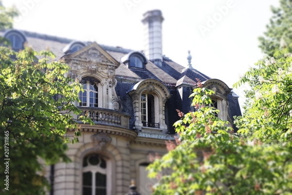 Obraz Paris in spring, view  from Eiffel tower