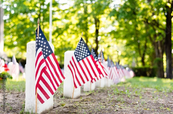 Fototapeta American flags marking the graves of war veterans in a cemetery