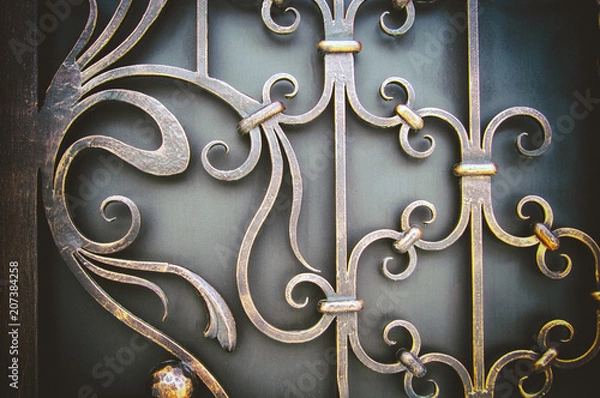 Obraz ornate wrought-iron elements of metal gate decoration