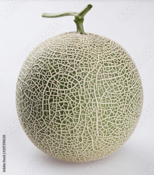 Obraz 흰색배경에 얆은 네트 멜론