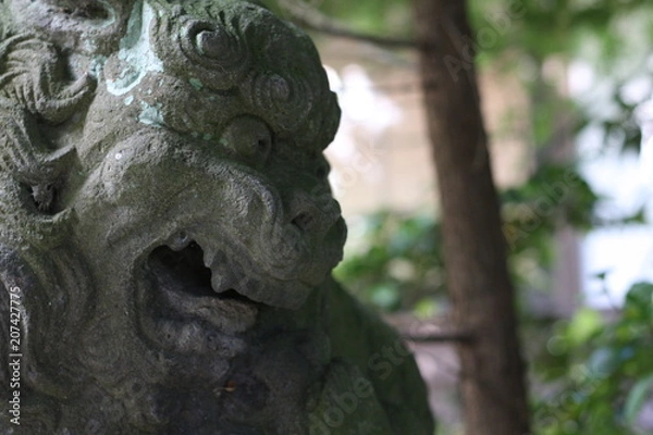 Fototapeta 狛犬（迫真）