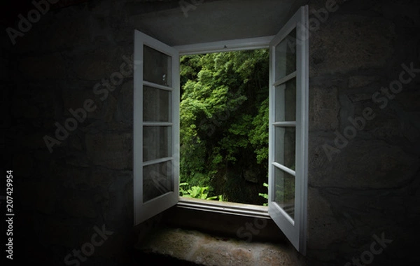 Fototapeta Okno do lasu
