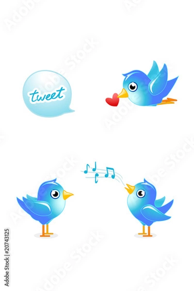 Obraz tweet birds