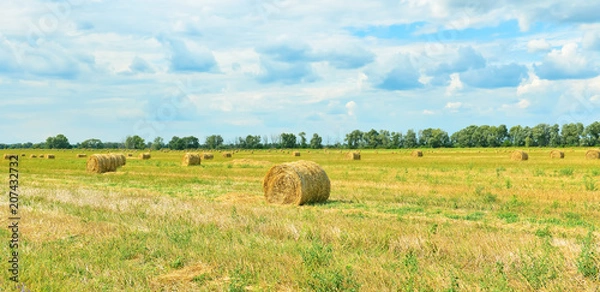 Fototapeta Landscape with a haystacks.