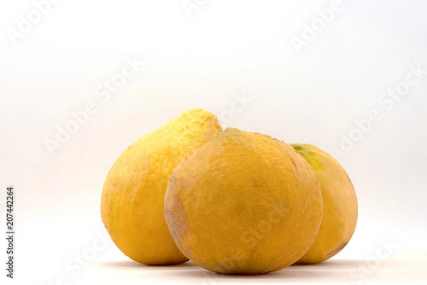 Obraz Santol  isolated on white background.