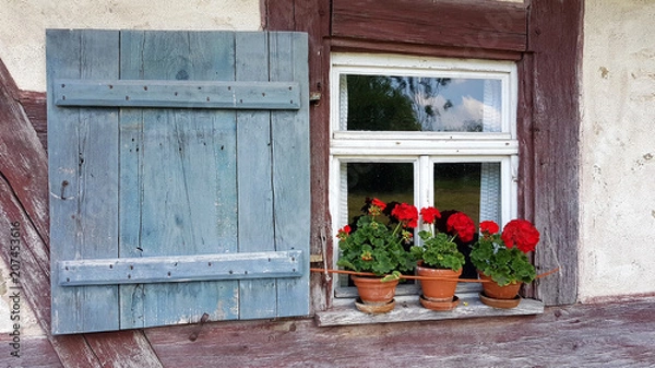 Obraz Geranientöpfe