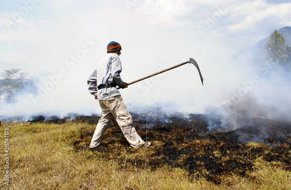 Fototapeta waldbrand