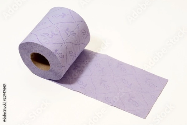 Obraz Papier Toilette #5