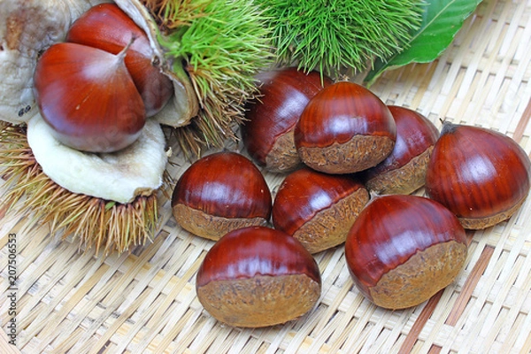 Fototapeta 栗