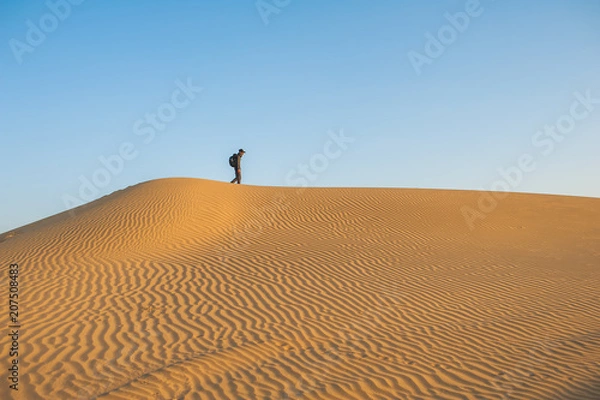 Obraz Lost in the desert