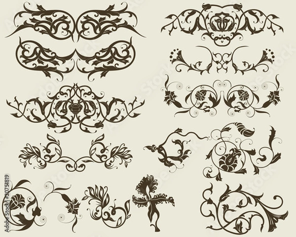 Obraz floral elements for design