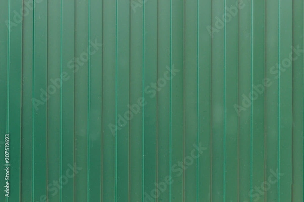Obraz Green siding background, close-up