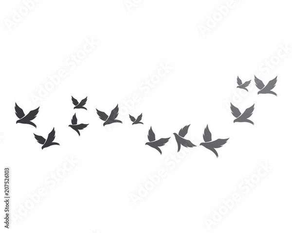 Fototapeta Bird background Template vector