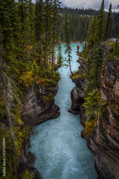 Obraz Athabasca Falls